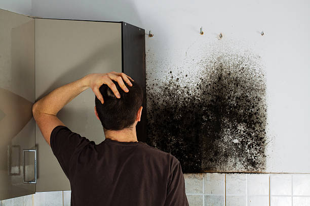 Best HVAC Mold Remediation in Olmos Park, TX